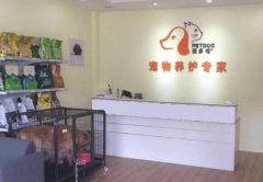 创业找项目北京宠物店加盟优势有哪