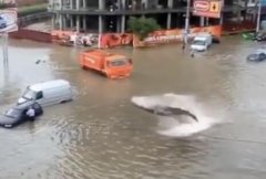 郑州暴雨的这些消息是谣言,郑州海洋馆的鲨鱼跑出来