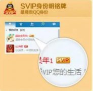 svip和vip有什么区别(QQsvip和vip有什么区别)