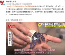 中国夫妇日本旅游抓683只蟹被捕,促进
