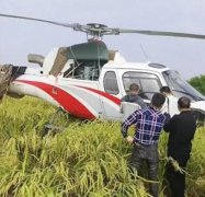 直升机迫降稻田引村民围观,听说这架飞机因为出现了